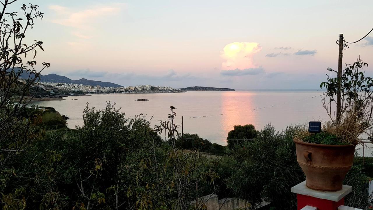 Allas, Guest Art Agios Nikolaos  Luaran gambar