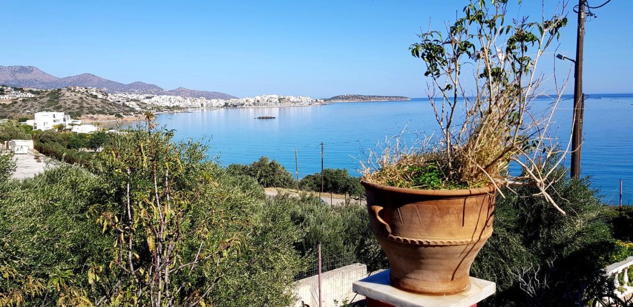 Allas, Guest Art Agios Nikolaos  Luaran gambar